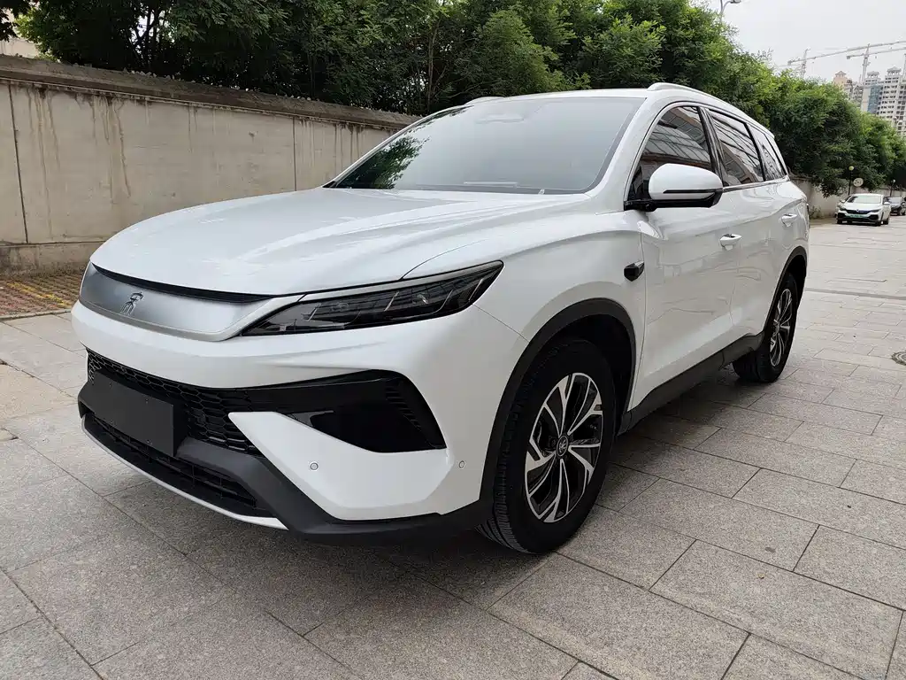 BYD Pro New Energy 2025