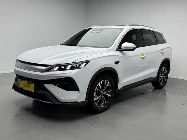 BYD Pro New Energy 2025