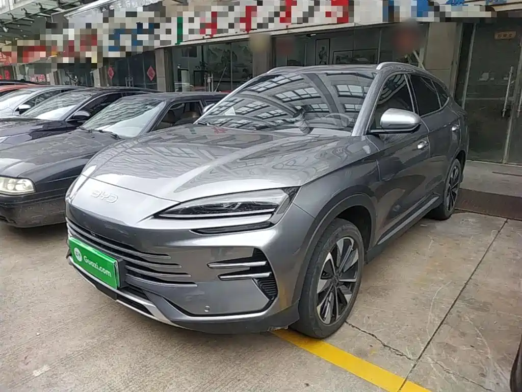 BYD PLUS New Energy 2024
