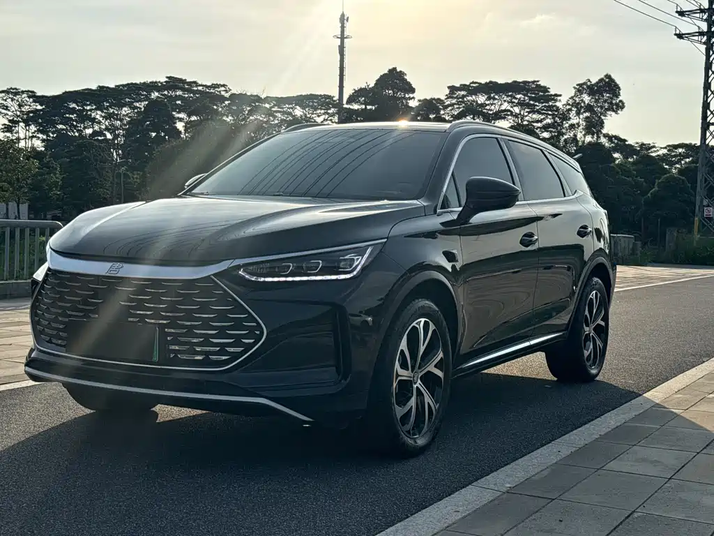 BYD Tang New Energy 2025