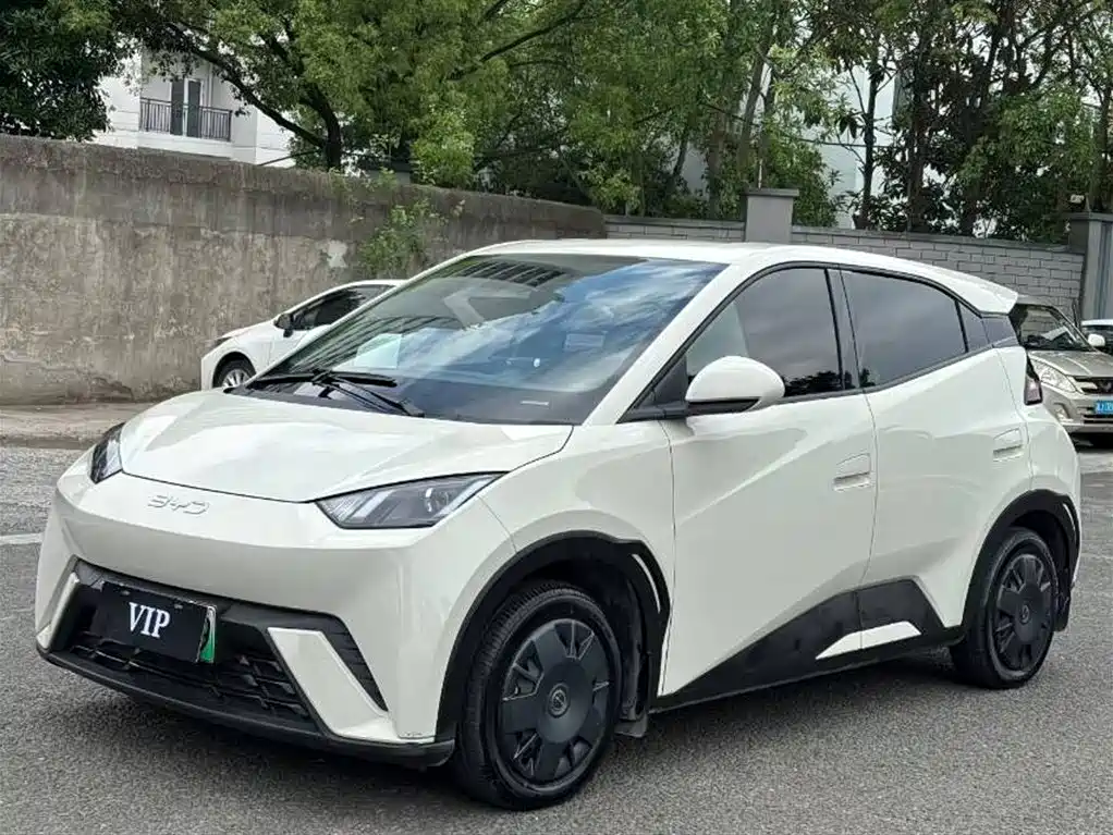 BYD Seagull 2024