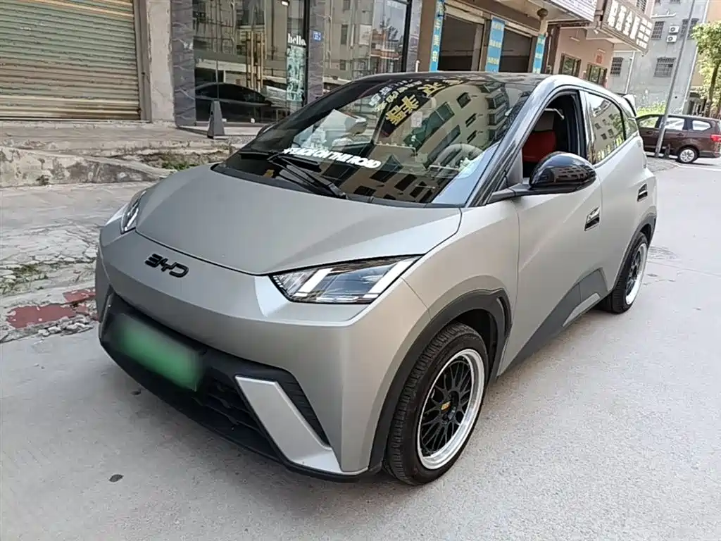 BYD Seagull 2024