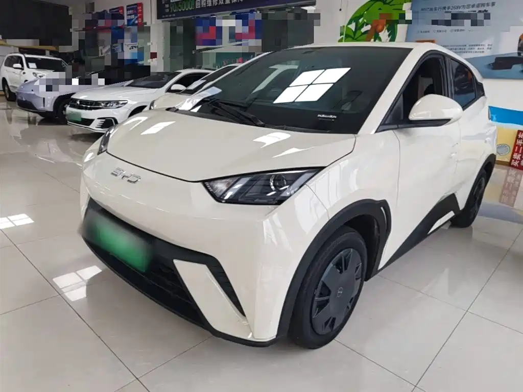 BYD Seagull 2024