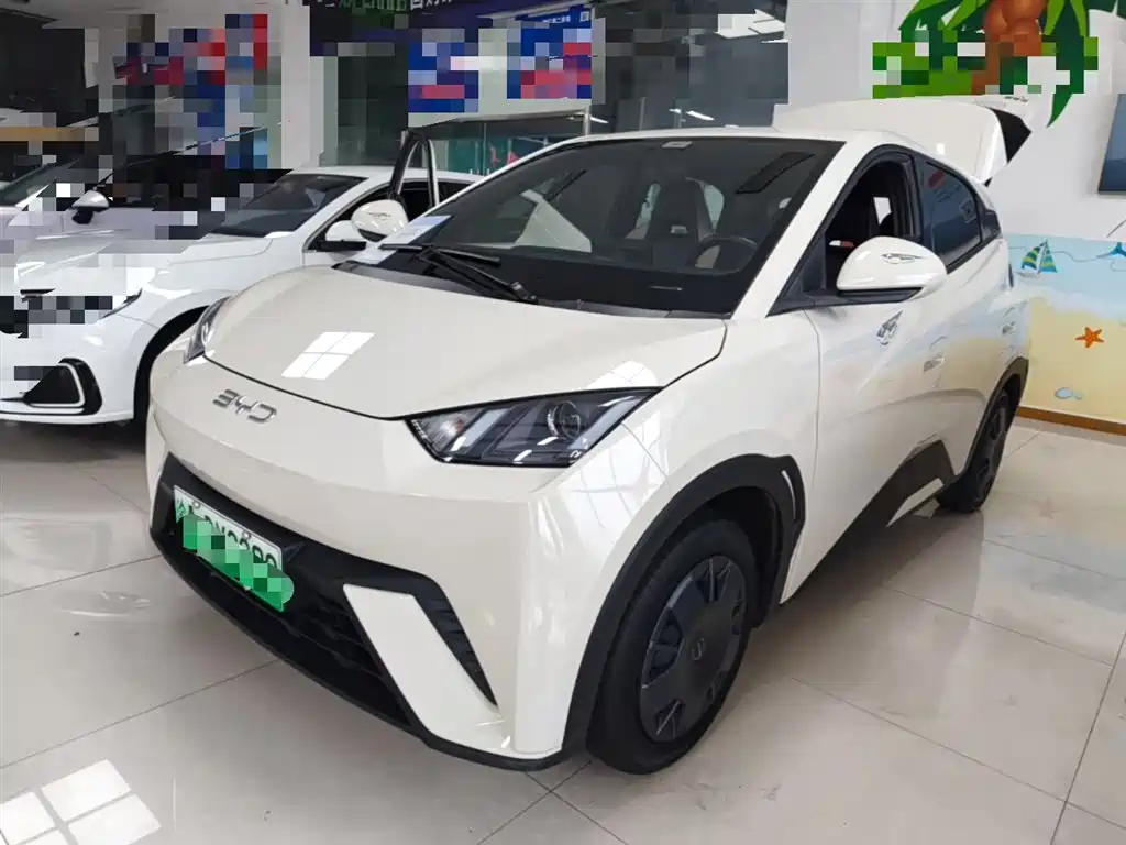 BYD Seagull 2024