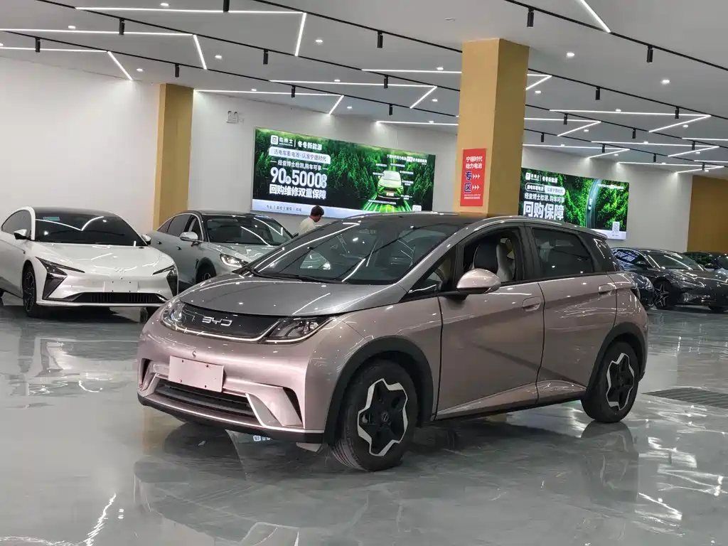 BYD Dolphin 2022