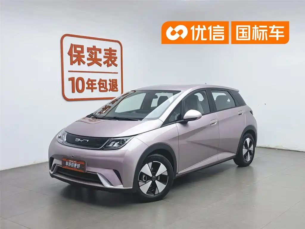 BYD Dolphin 2024