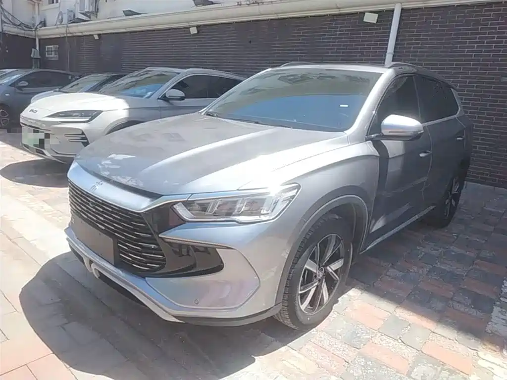 BYD Pro New Energy 2024
