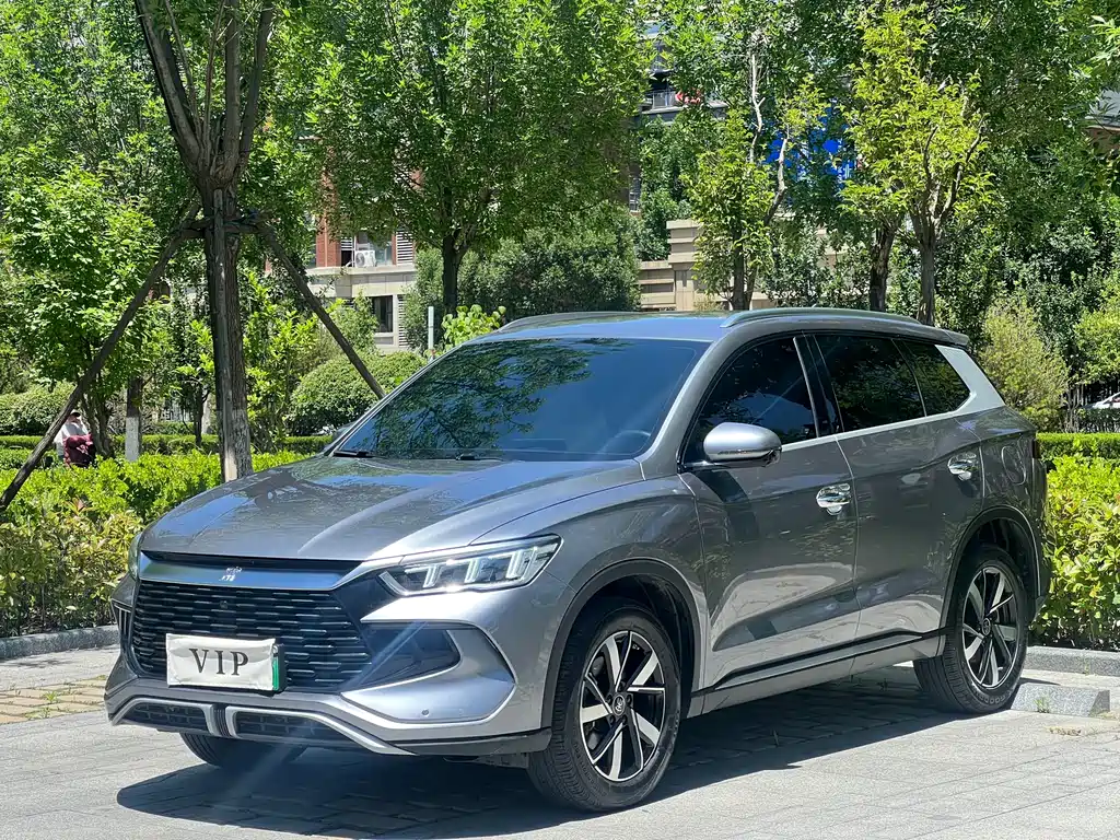 BYD Pro New Energy 2024