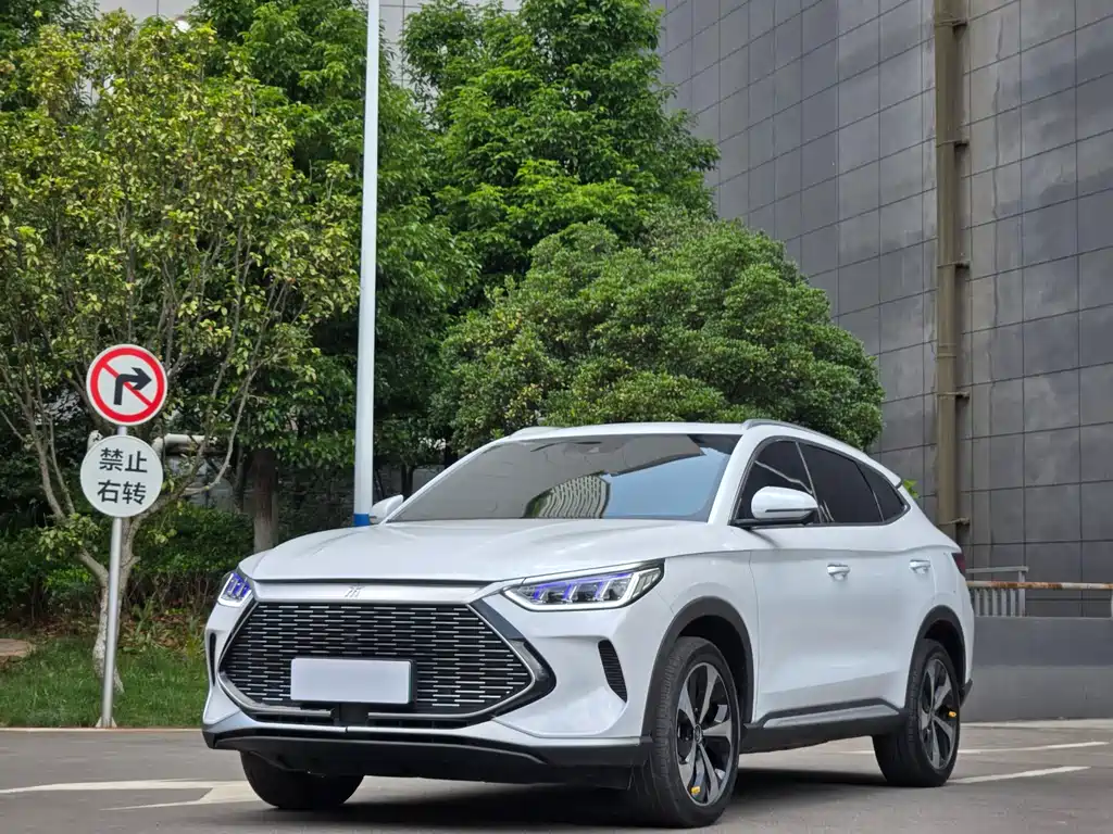 BYD PLUS New Energy 2022