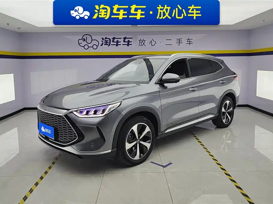 BYD PLUS New Energy 2022
