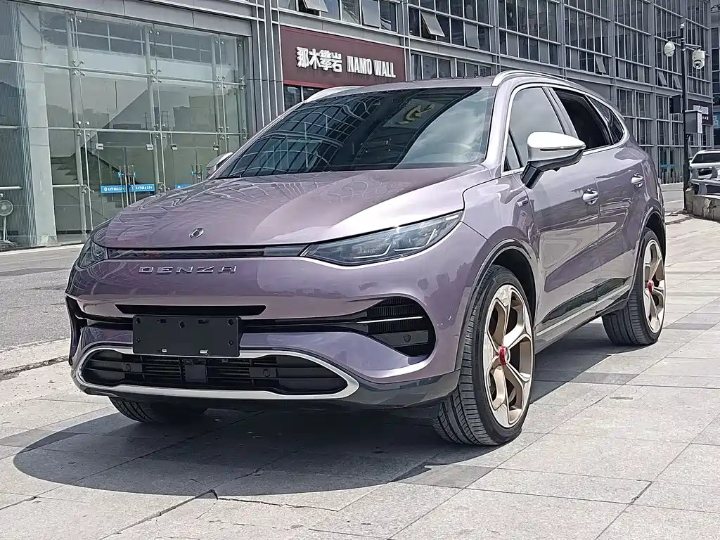 Denza Denza X 2020