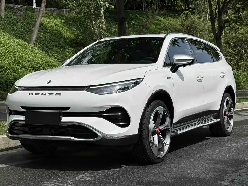 Denza Denza X 2021