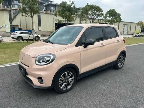 Leapmoo T03 2021 400 Light Edition Lithium Iron Phosphate Battery