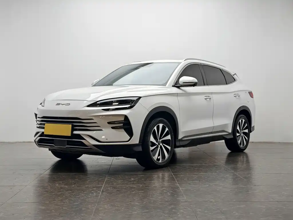 BYD PLUS New Energy 2024