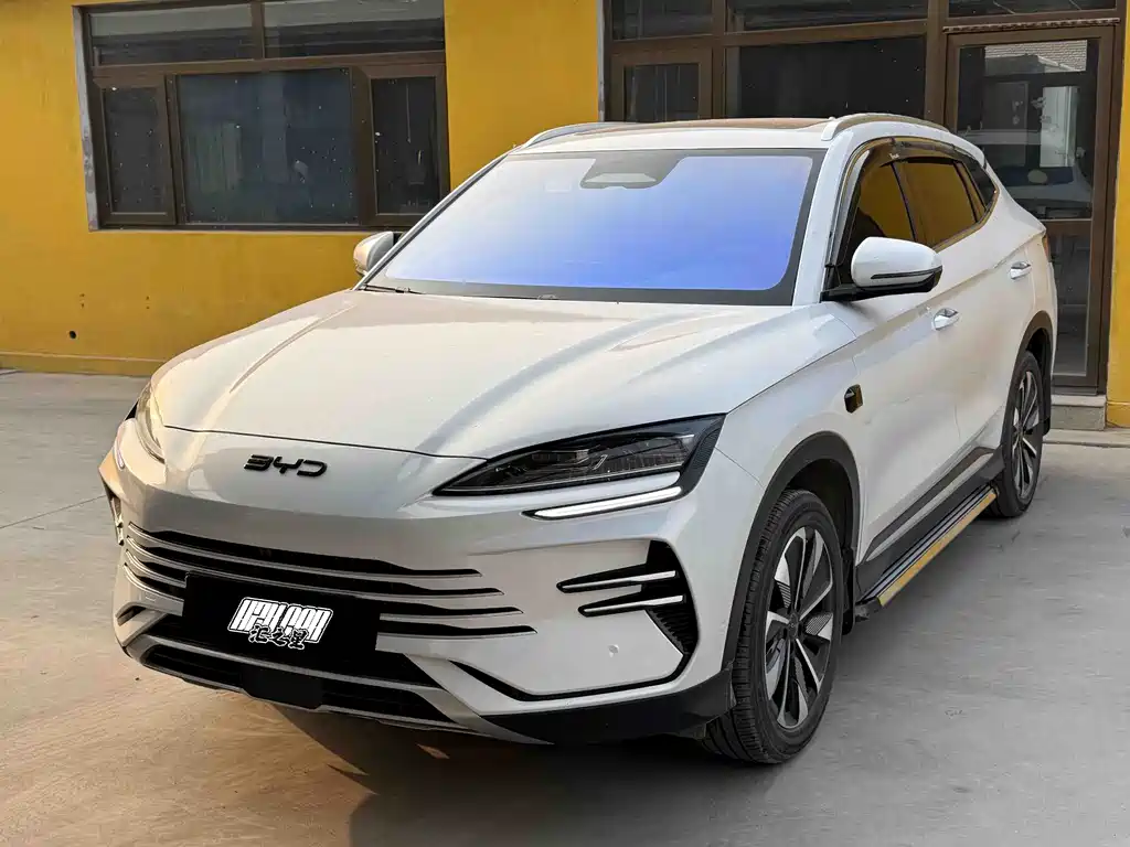 BYD PLUS New Energy 2025