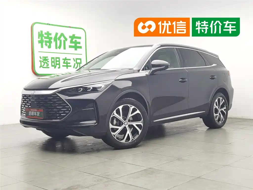BYD Tang New Energy 2025