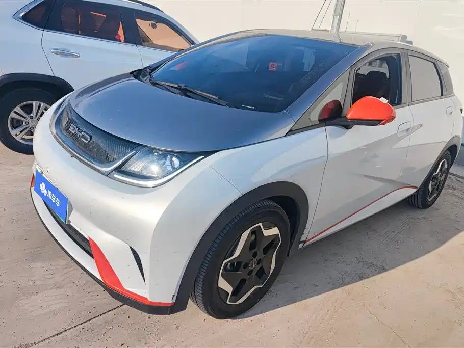 BYD Dolphin 2021