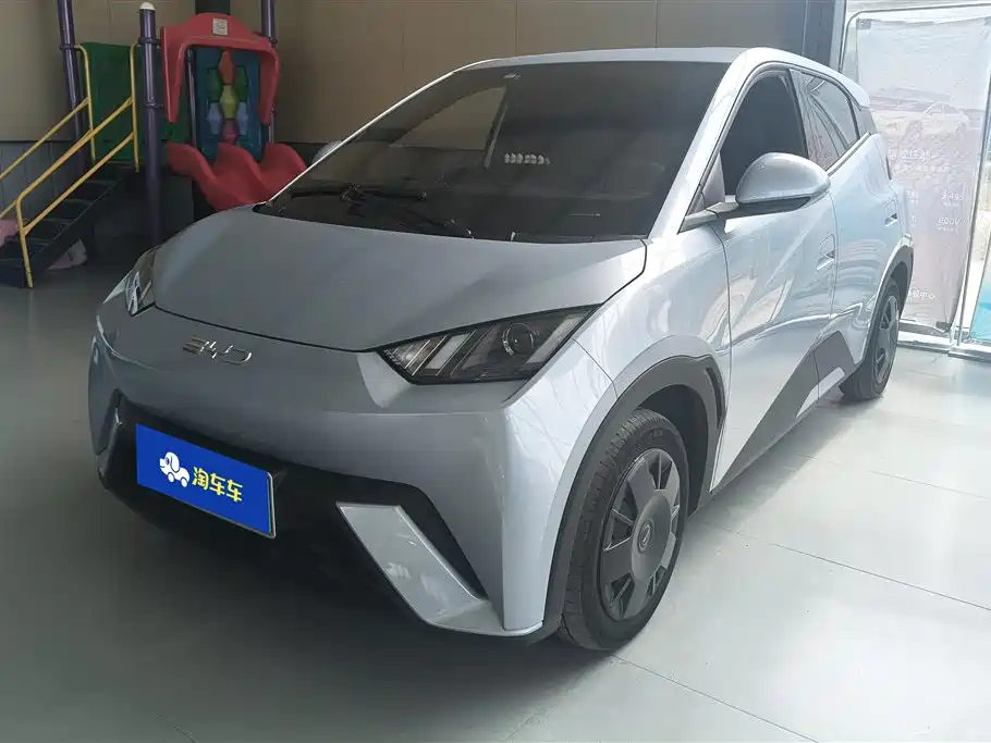BYD Seagull 2024