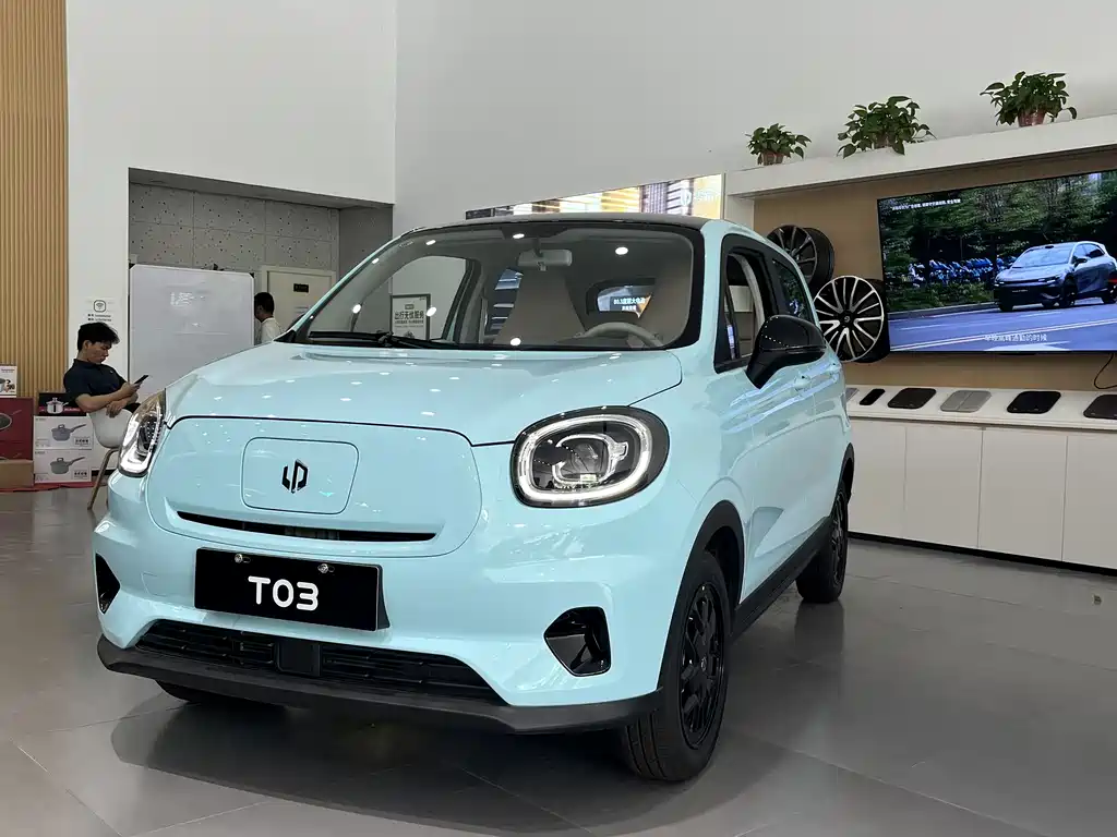 Leapmotor Leapmotor T03 0