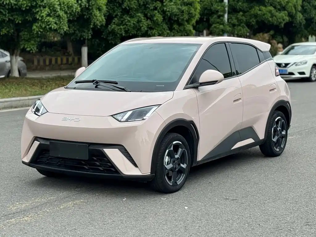 BYD Seagull 2024