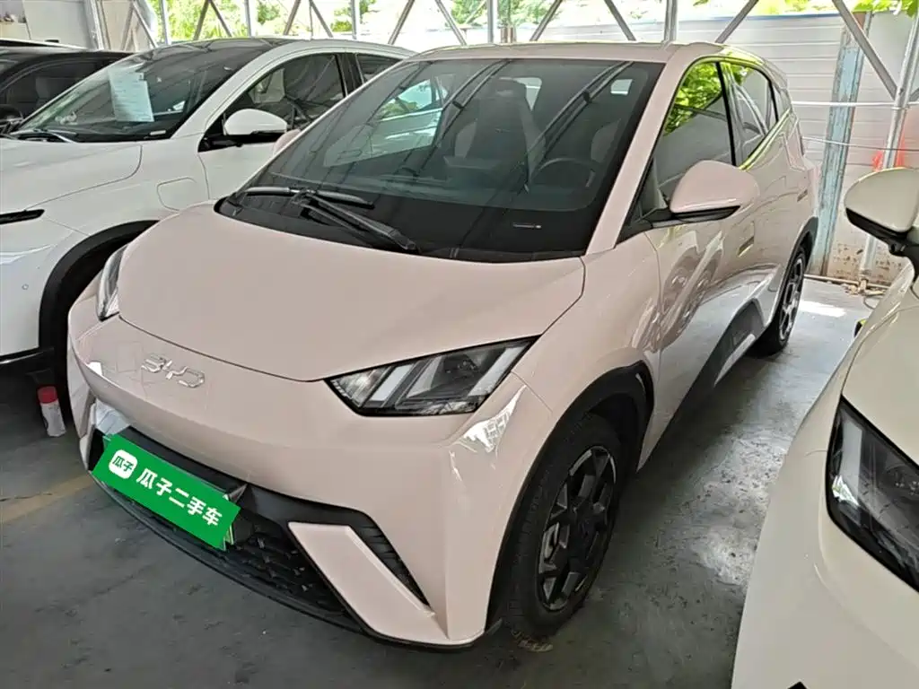 BYD Seagull 2024