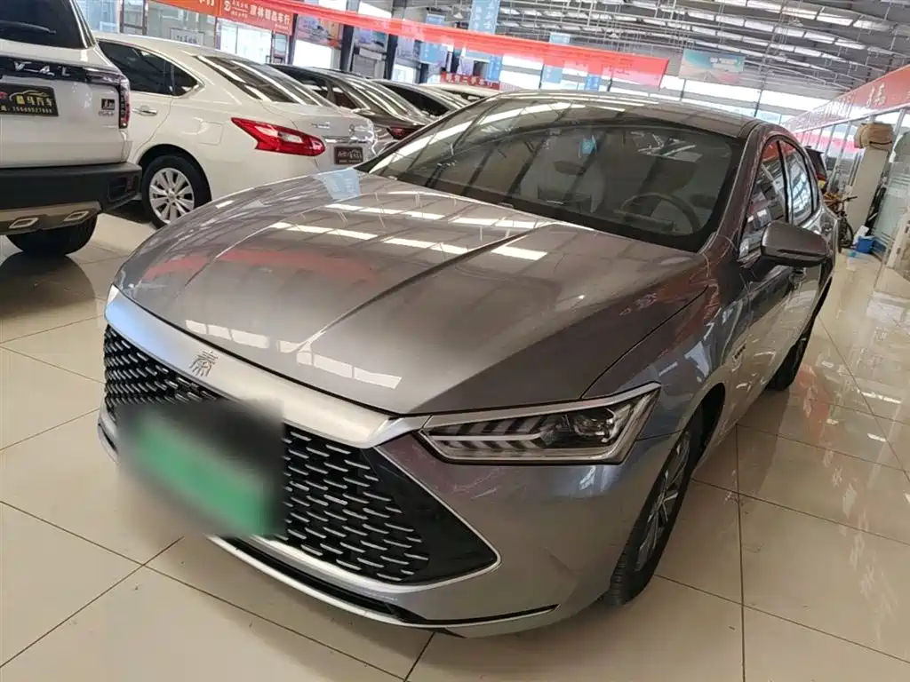 BYD Qin PLUS 2024