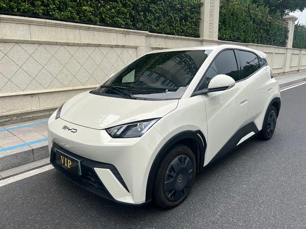 BYD Seagull 2024