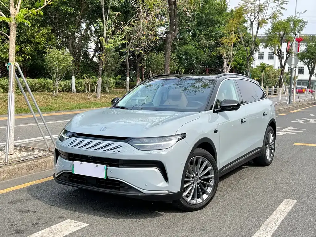 Leapmoon C11 2024 Extended Range 300 Exclusive Edition