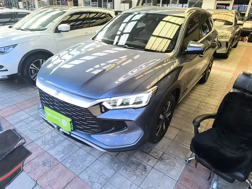 BYD Pro New Energy 2024