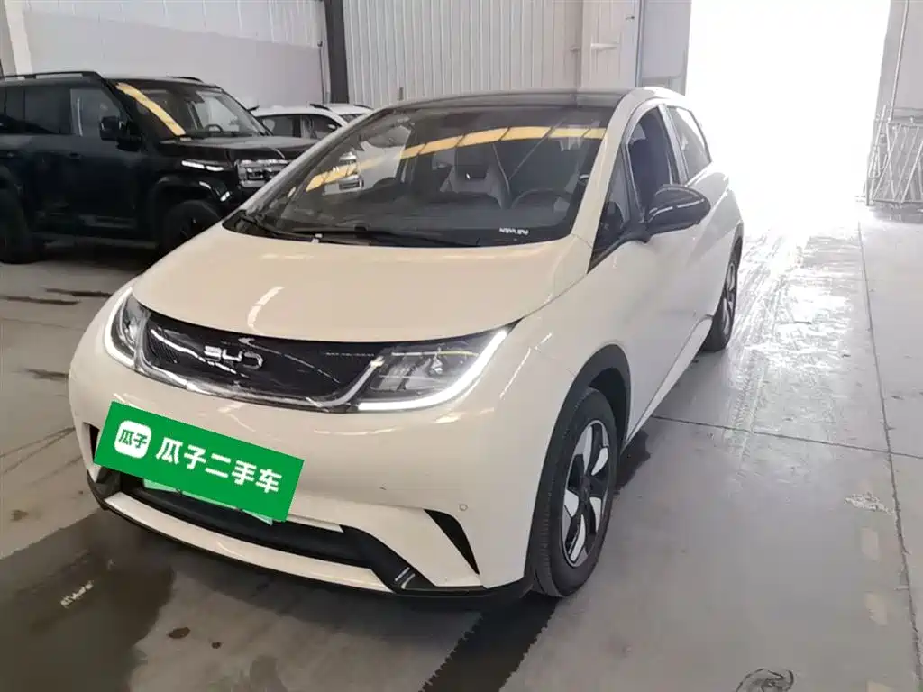 BYD Dolphin 2024