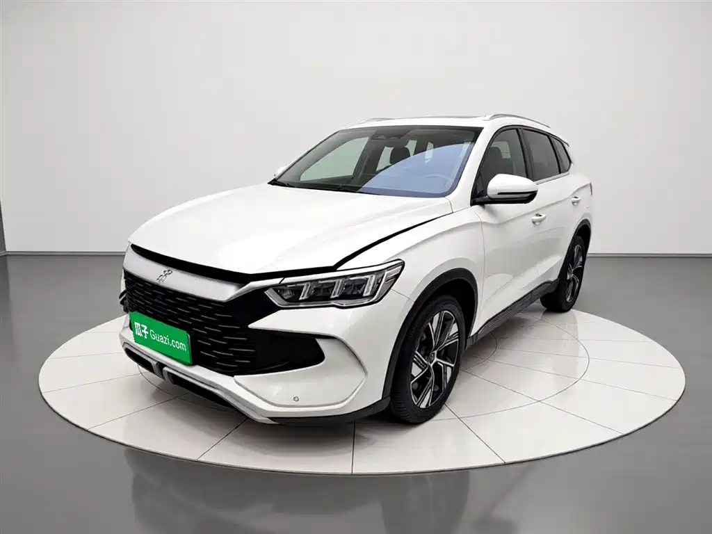 BYD Pro New Energy 2023