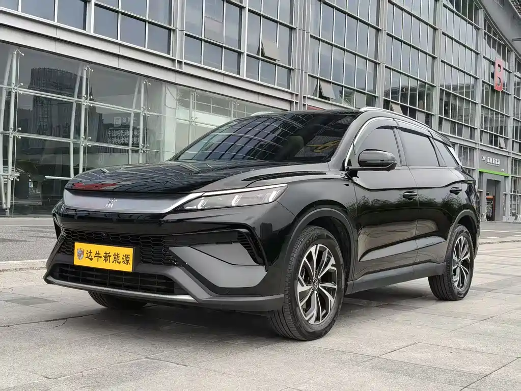 BYD Pro New Energy 2024
