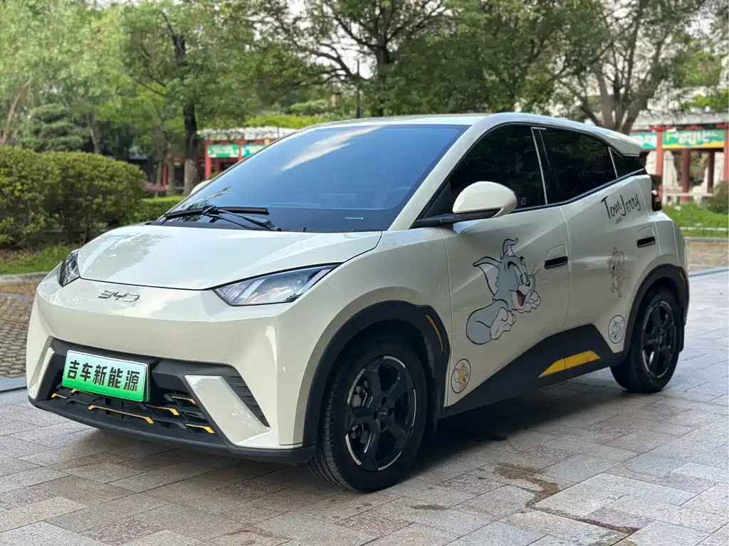 BYD Seagull 2024