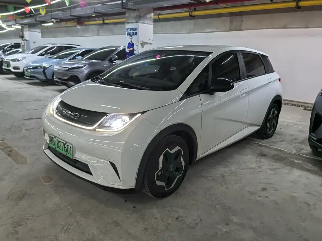 BYD Dolphin 2021