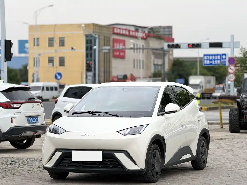 BYD Seagull 2025