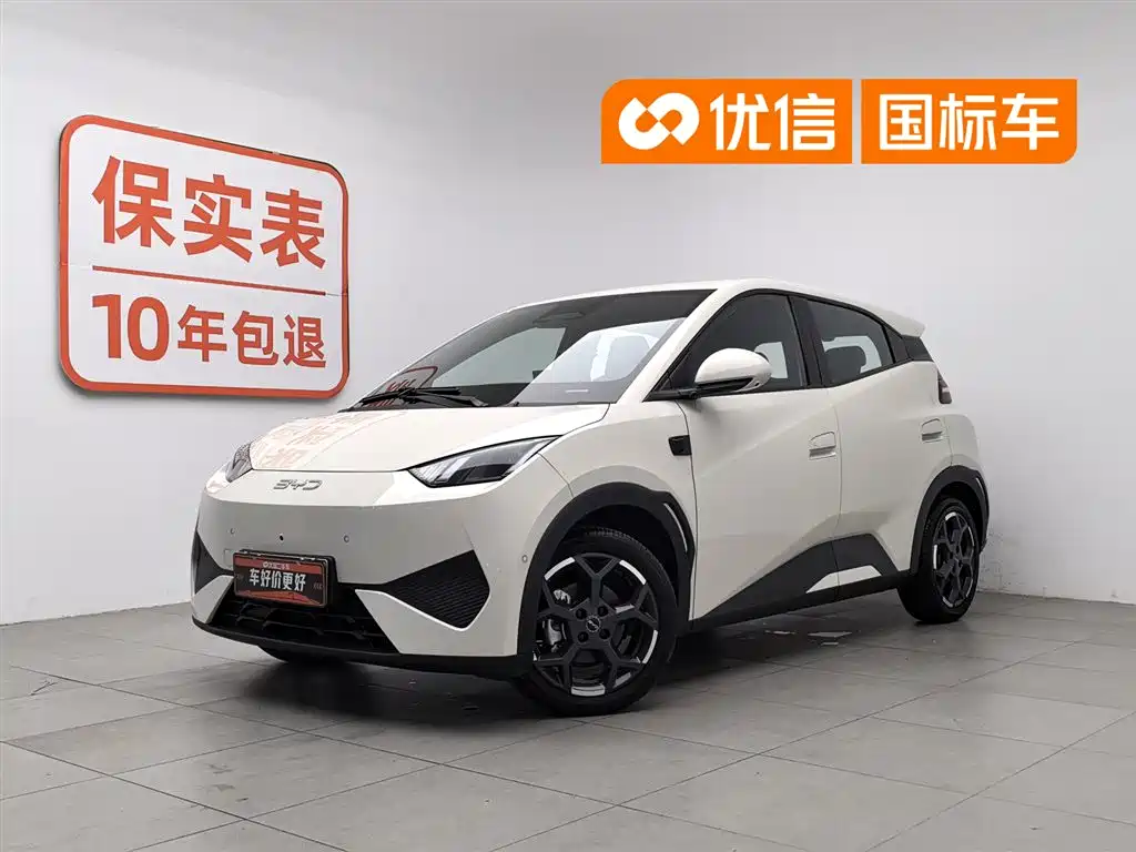 BYD Seagull 2025