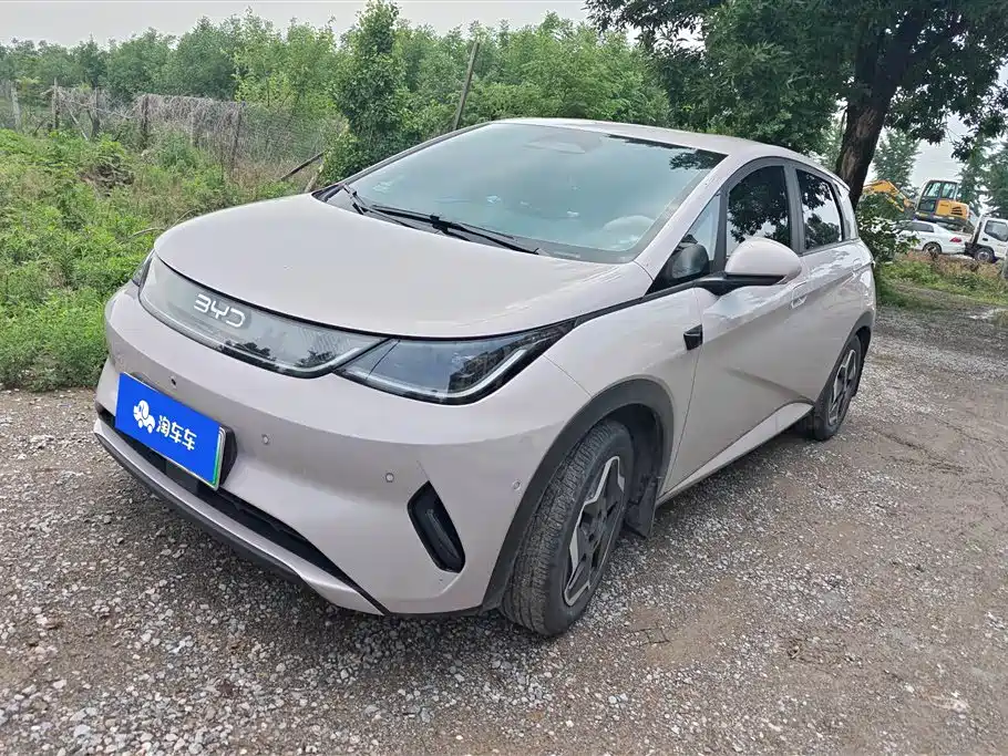 BYD Dolphin 2025