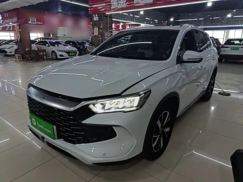 BYD Pro New Energy 2023