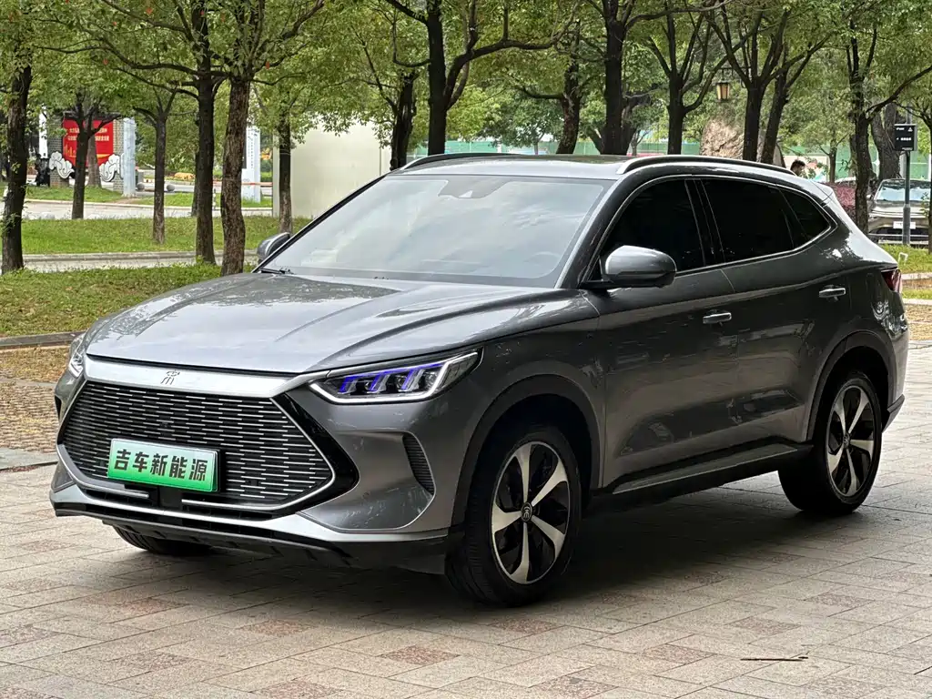 BYD PLUS New Energy 2022