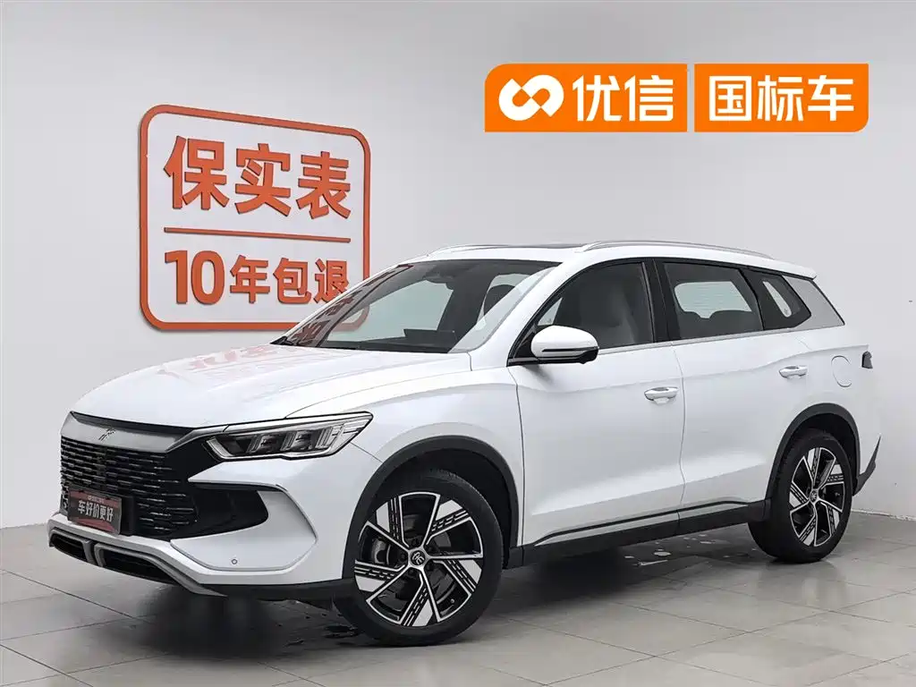 BYD Pro New Energy 2024