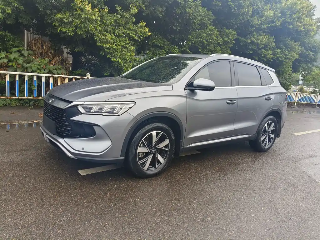 BYD Pro New Energy 2024