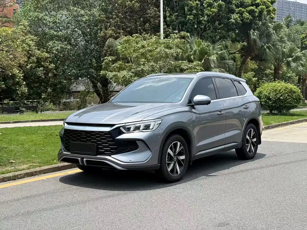 BYD Pro New Energy 2025