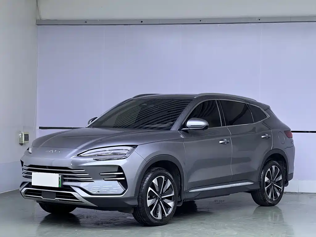 BYD PLUS New Energy 2024