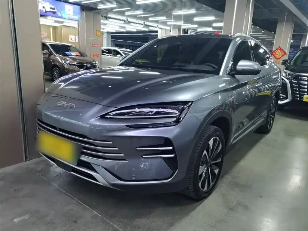 BYD PLUS New Energy 2025