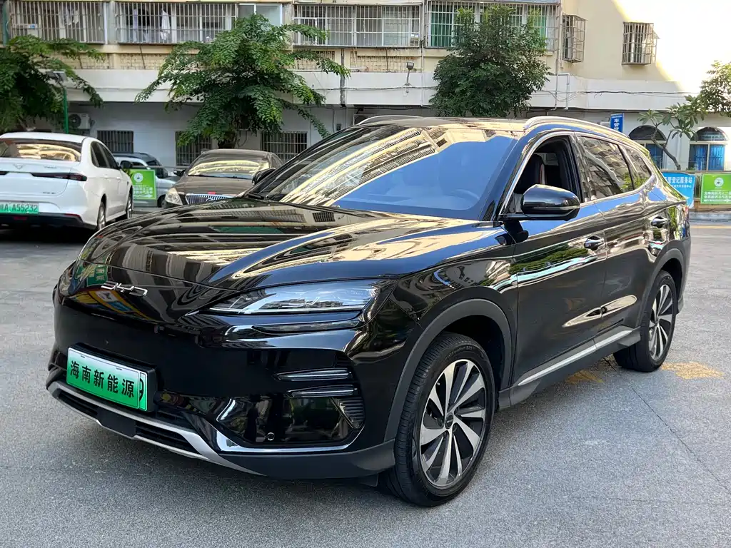 BYD PLUS New Energy 2024