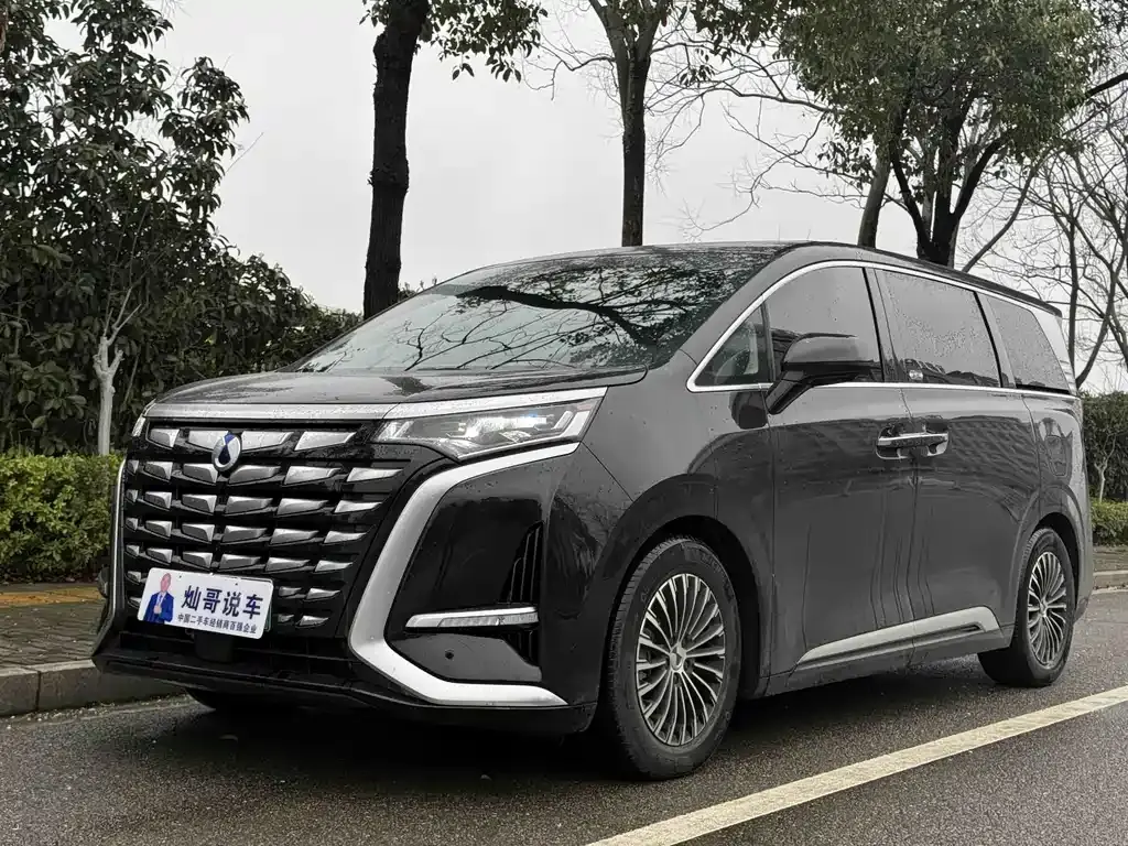 Denza D9 2024 DM-i 970 luxury model