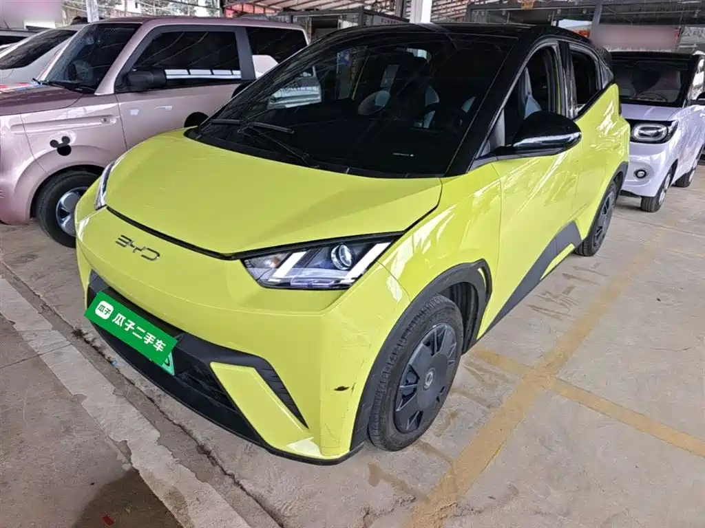 BYD Seagull 2024