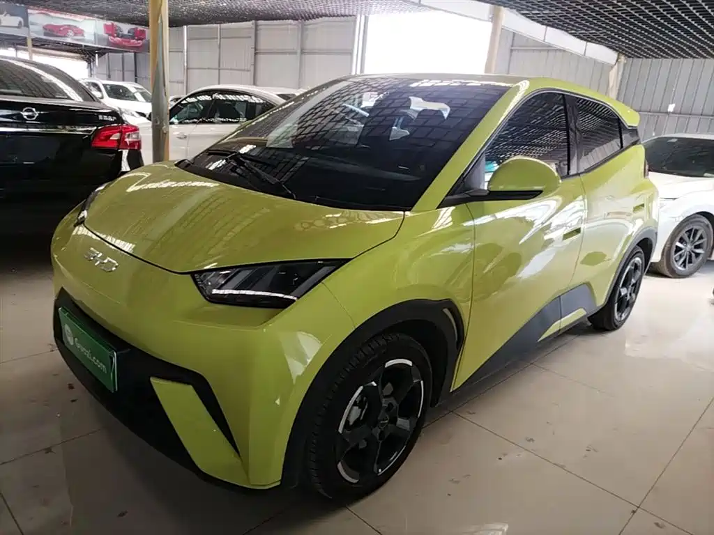 BYD Seagull 2024
