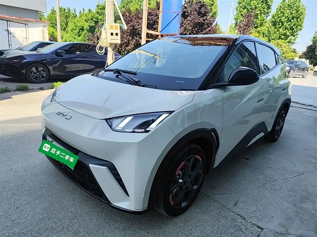 BYD Seagull 2024