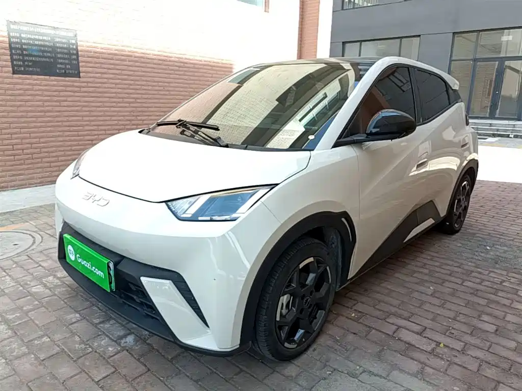 BYD Seagull 2024